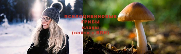 сатива Алексеевка