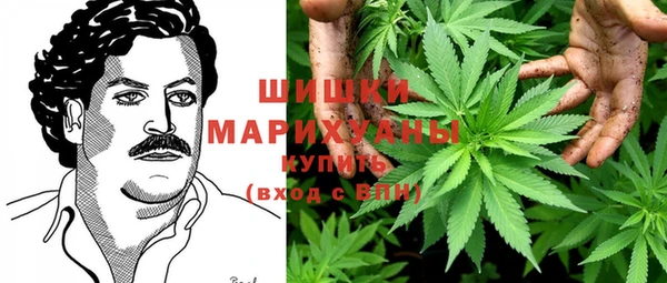 apvp Няндома
