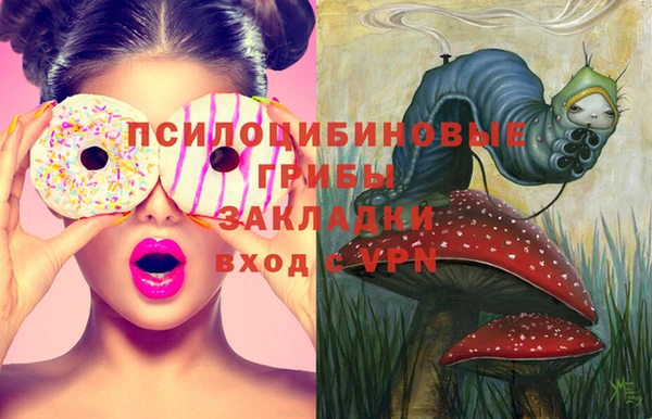 сатива Алексеевка