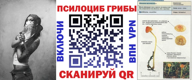 хочу наркоту  Орлов  Галлюциногенные грибы ЛСД 